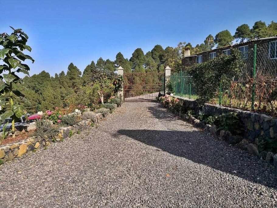 Finca Los Tamarillos Santa Cruz de Tenerife Luaran gambar